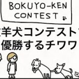 【アニメ】牧羊犬コンテストで優勝するチワワ