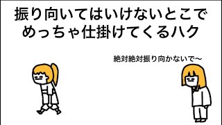 【アニメ】振り向いてはいけないとこでめっちゃ仕掛けてくるハク